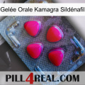Gelée Orale Kamagra Sildénafil 13